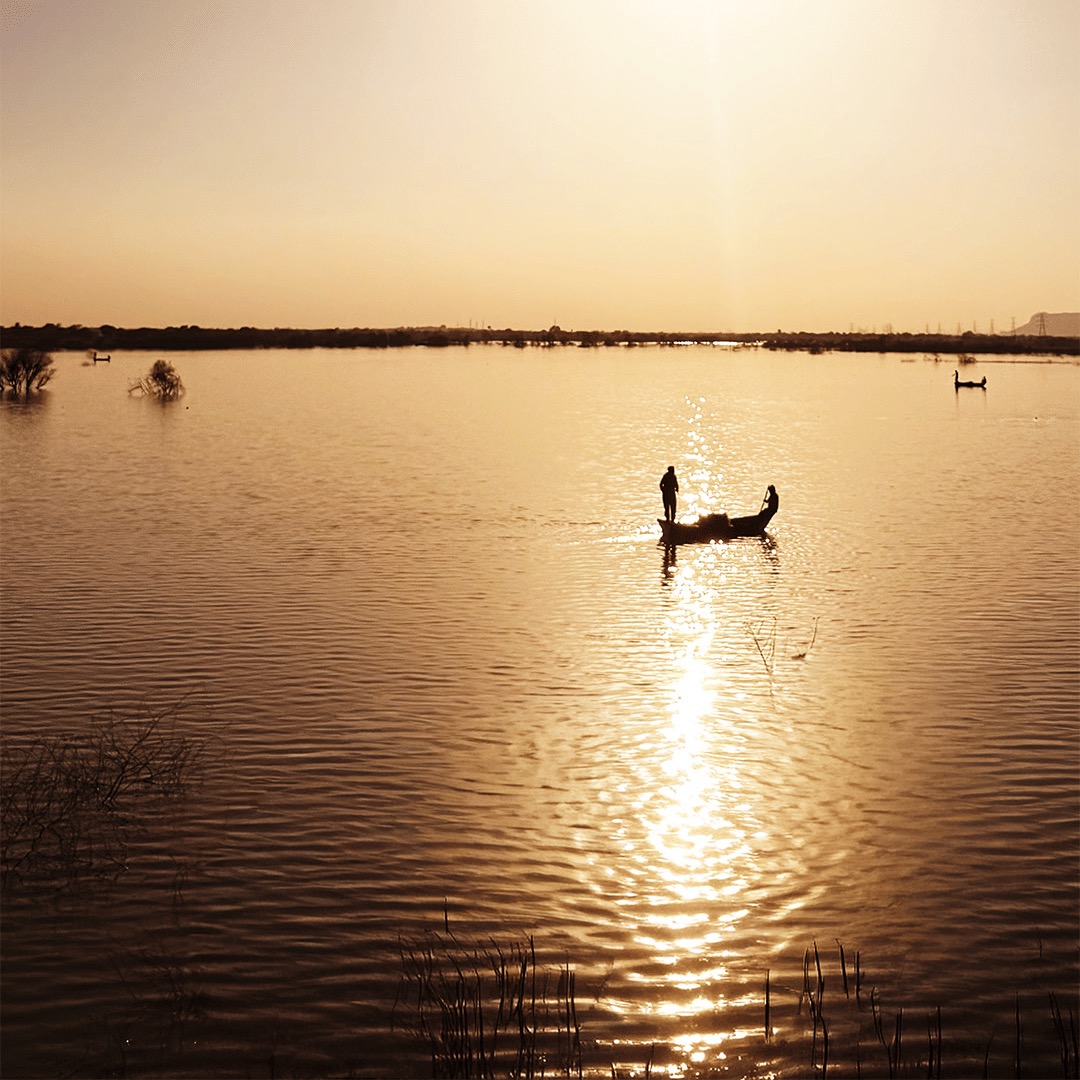 Lakeside mornings at Umaid Palace